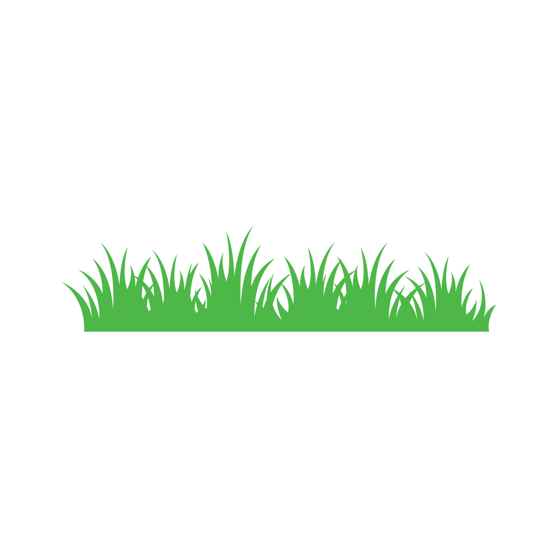 Lawn